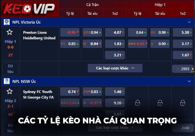 Có 3 dạng kèo quan trọng trên bảng kèo nhà cái 5