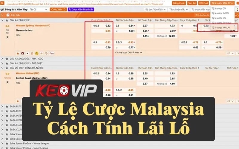 Hiểu rõ tỷ lệ cược Malaysia và cách chuyển sang Indo Odds